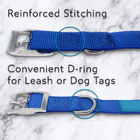 Handmade Nylon Dog Collars With Metal Buckle Customized 3 Sizes Optional