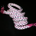Mountain Climbing Braided Nylon Rope Dog Leash , Dog Training Leash With Lock Catch
